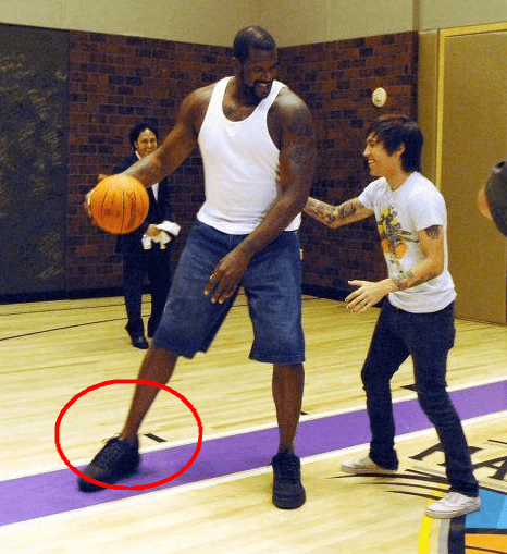 记者：孔帕尼的教练团队将在国际比赛日期间与拜仁续约（记者：国际比赛日期间，孔帕尼教练组将与拜仁完成续约）